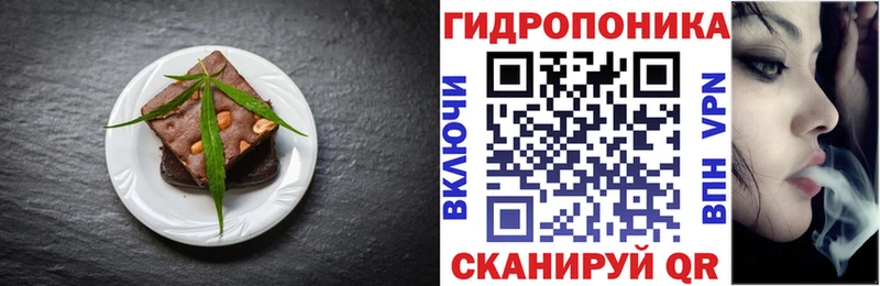 omg онион  Плавск  Cannafood конопля 