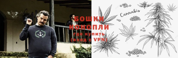 гашик Арсеньев