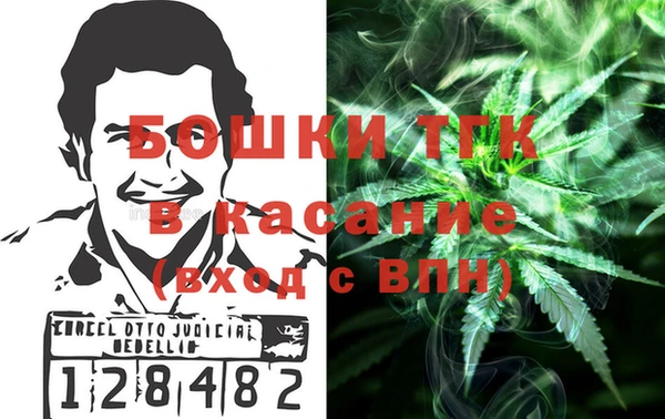гашик Арсеньев