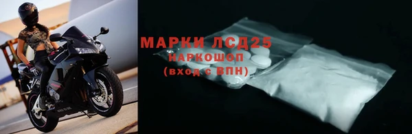 гашик Арсеньев