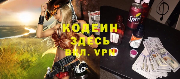 гашик Арсеньев