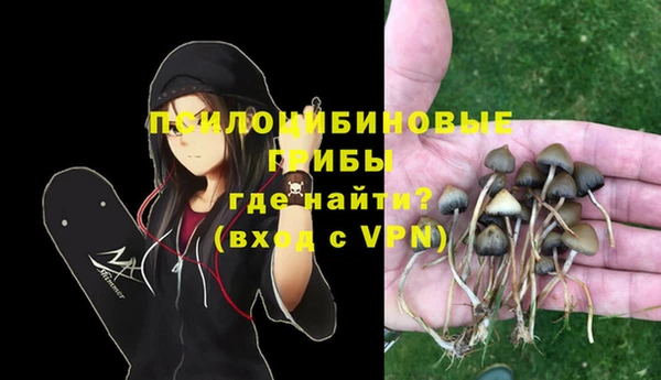гашик Арсеньев