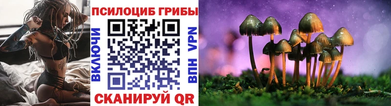 mega tor  Плавск  Галлюциногенные грибы MAGIC MUSHROOMS 